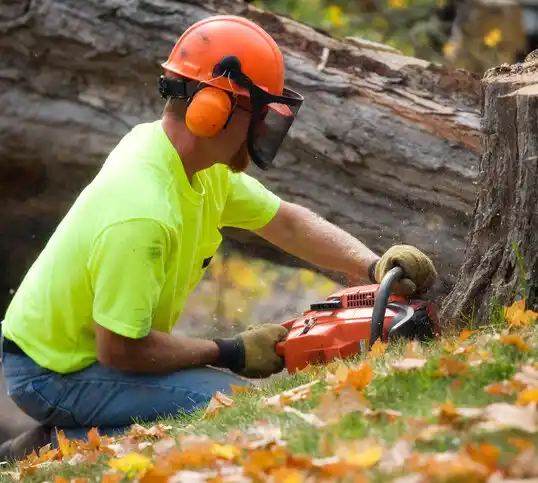 tree services Stow